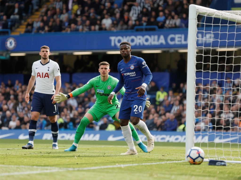 最终导致防 最终导致防